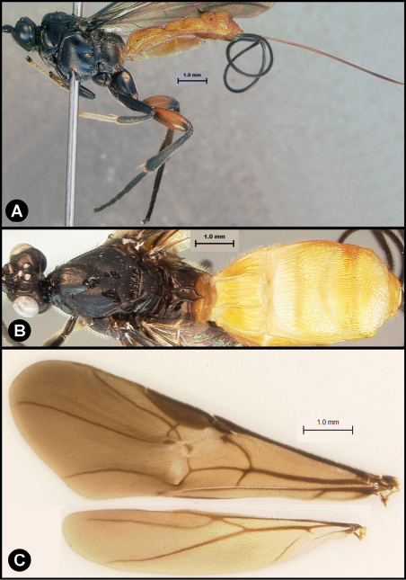 Figure 14.