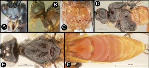 Figure 13.