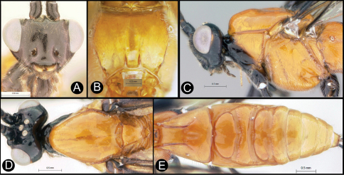 Figure 9.