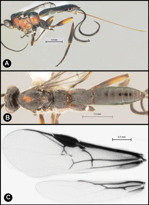 Figure 3.