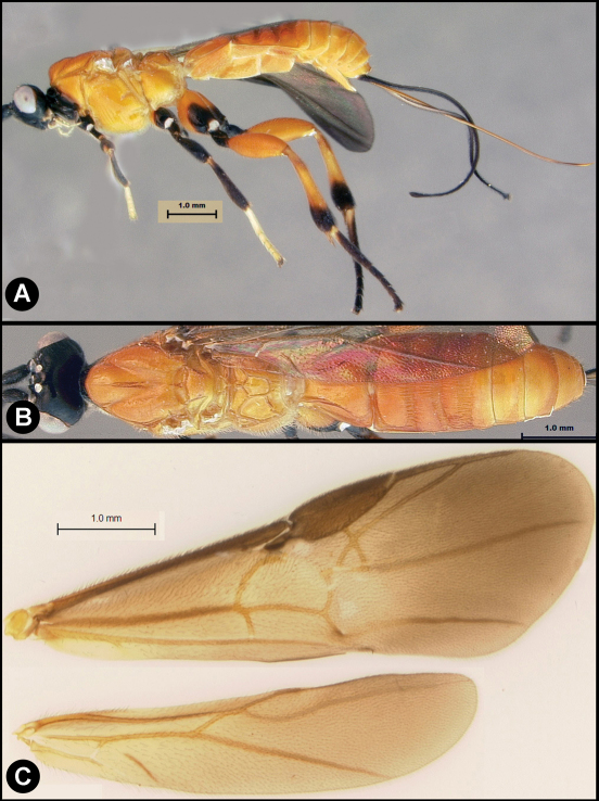 Figure 25.