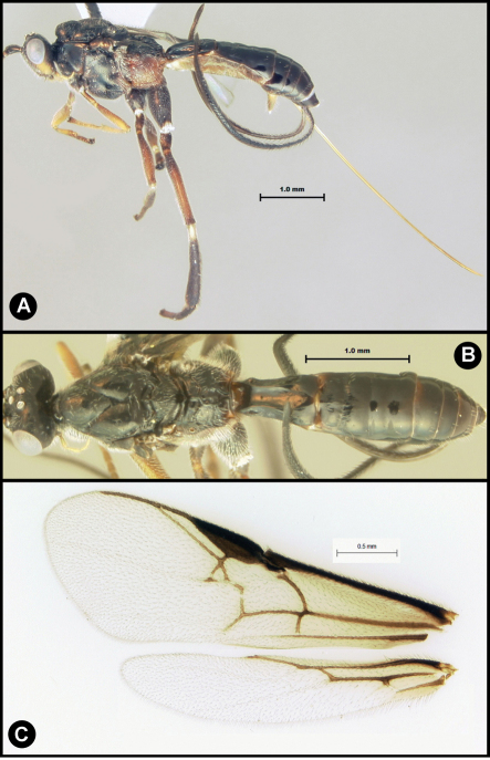 Figure 23.