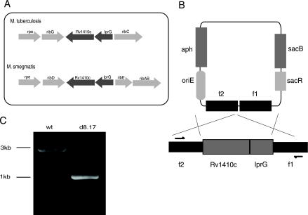 FIG. 1.