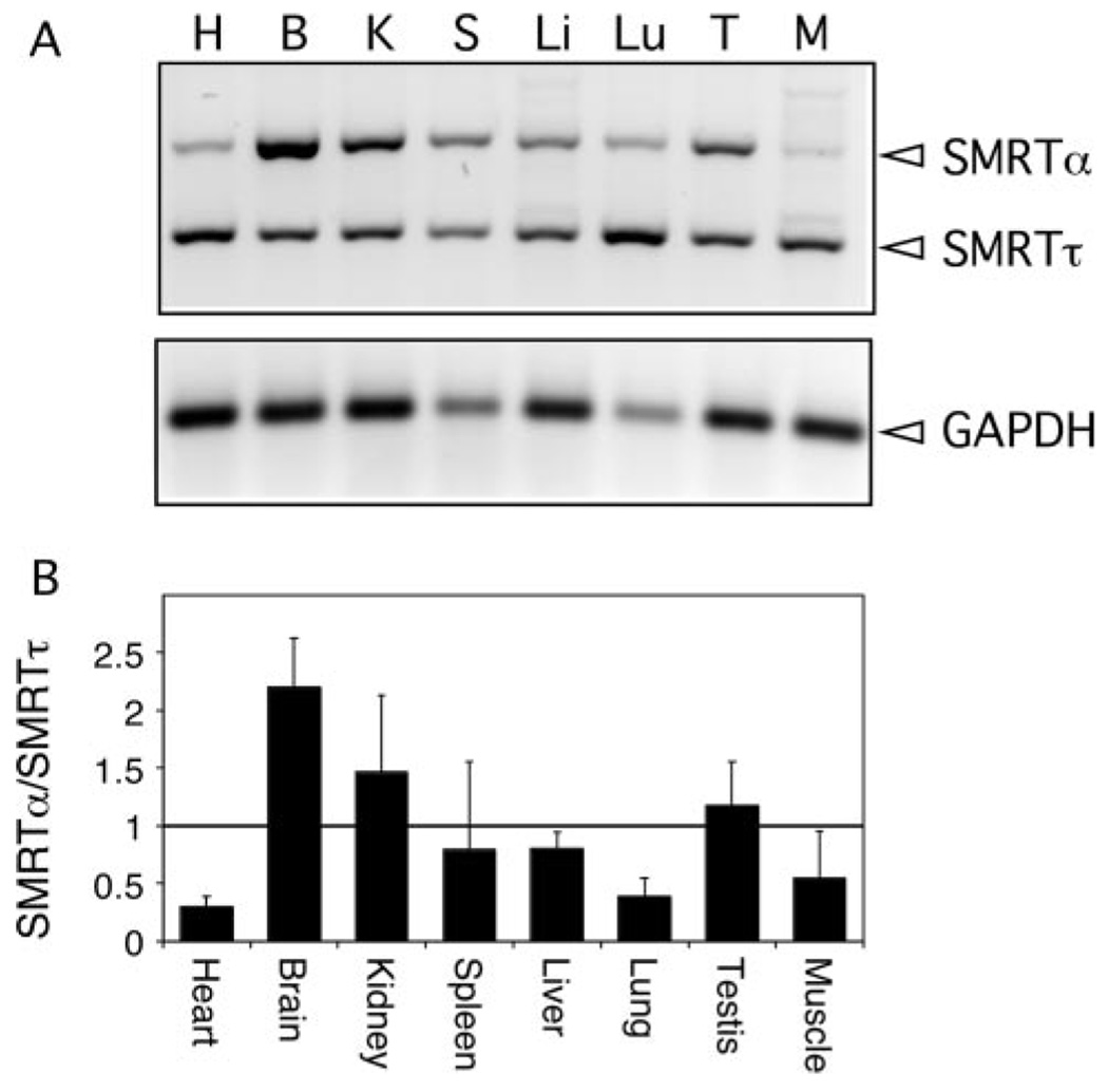 FIG. 9