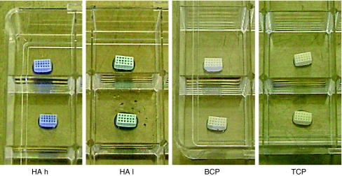 Fig. 2