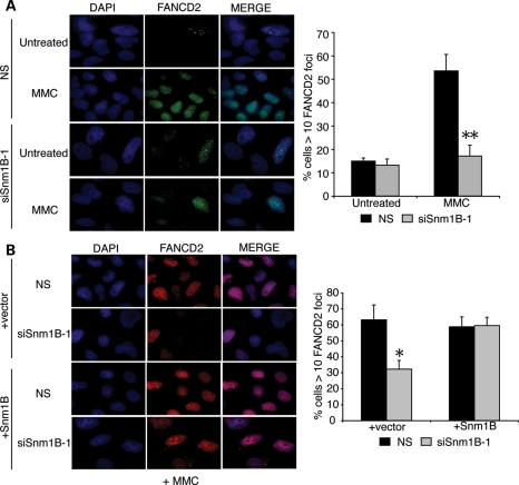 Figure 2.