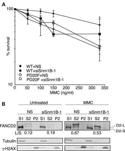 Figure 1.