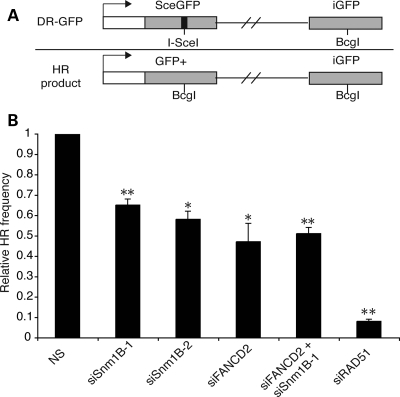 Figure 5.