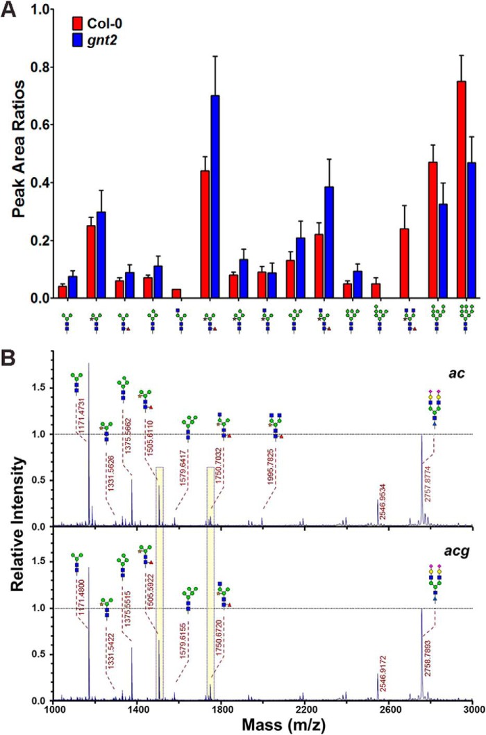 FIGURE 5.