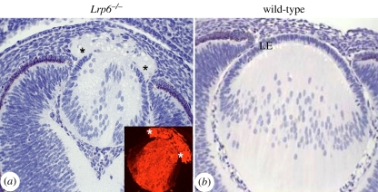 Figure 7.