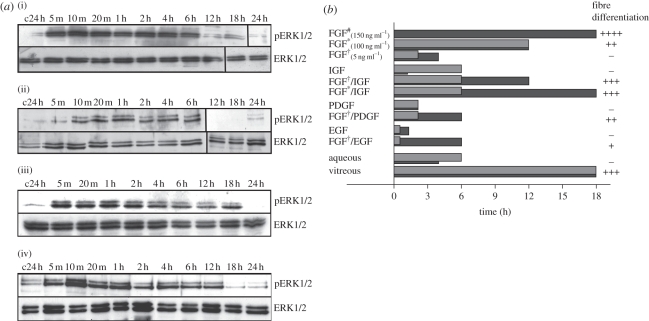 Figure 2.