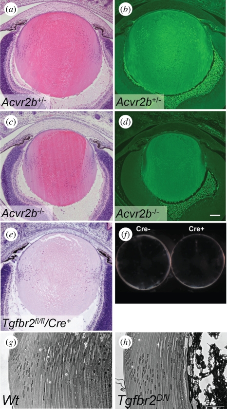 Figure 3.