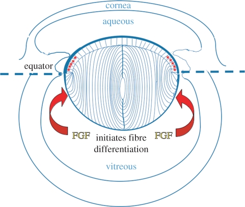 Figure 1.