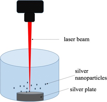 Fig. 1