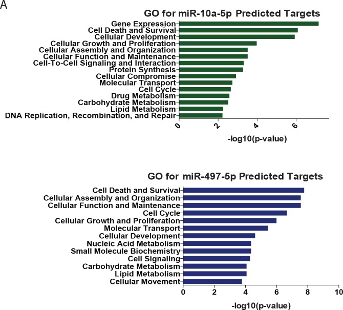 Figure 3—figure supplement 2.