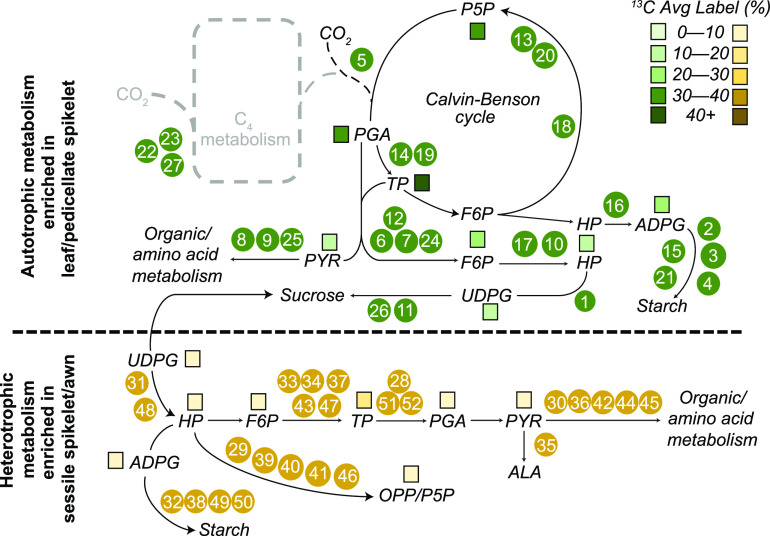 Figure 9.