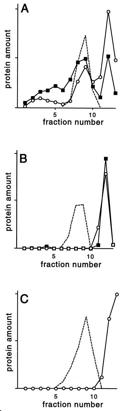 FIG. 5