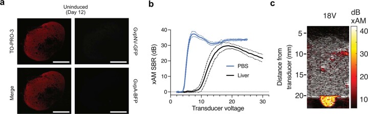 Extended Data Fig. 9