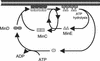 FIG. 9.