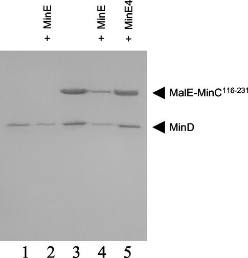 FIG. 5.