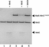 FIG. 6.