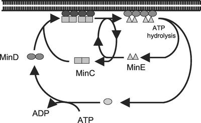 FIG. 9.