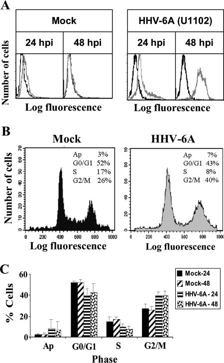 FIG. 10.