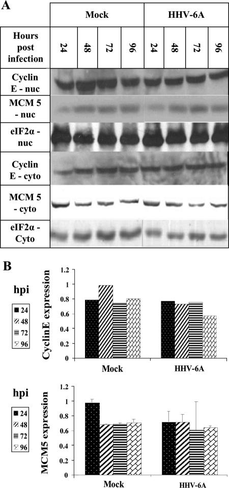 FIG. 7.