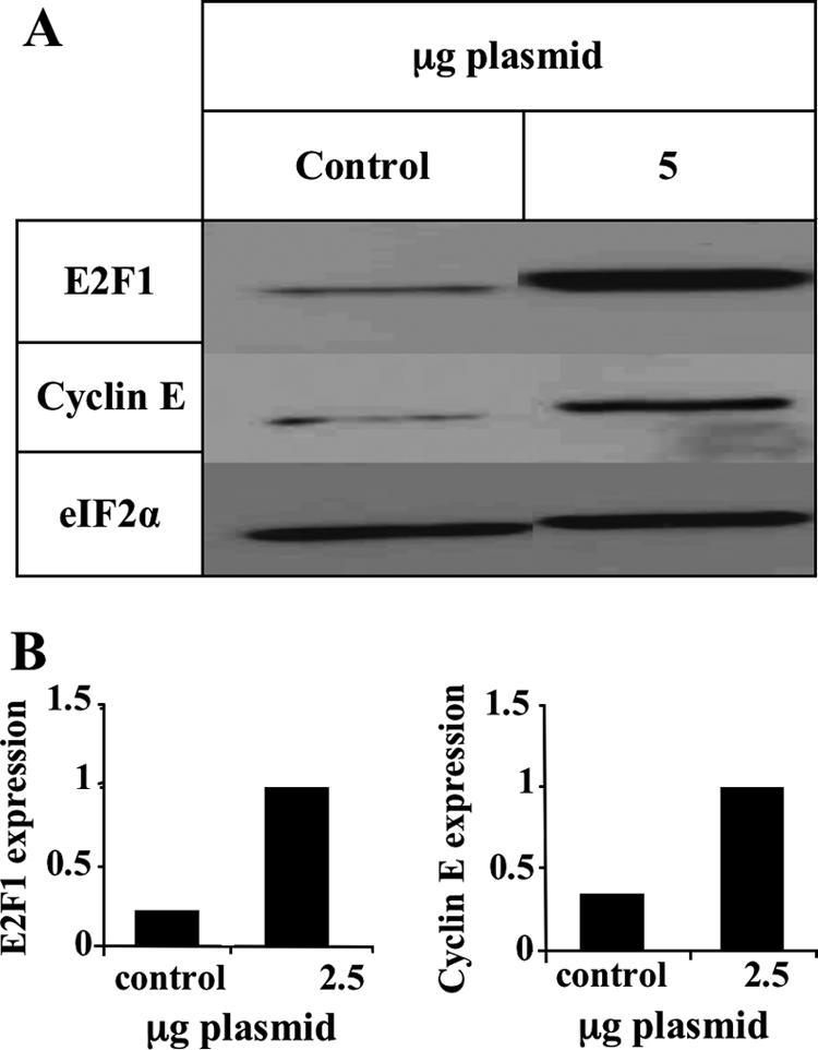 FIG. 8.