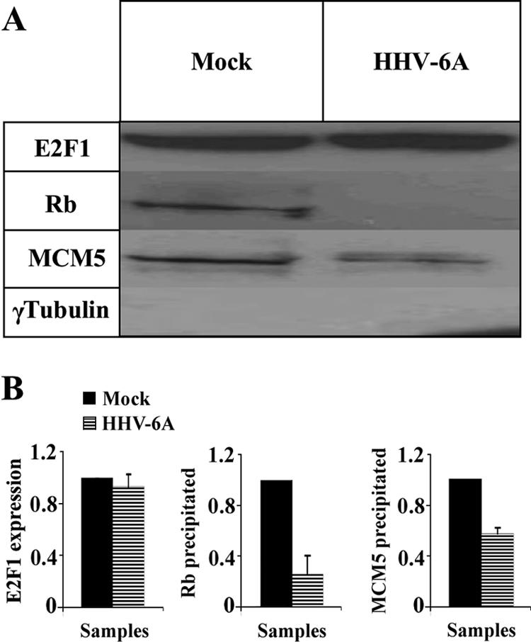 FIG. 9.