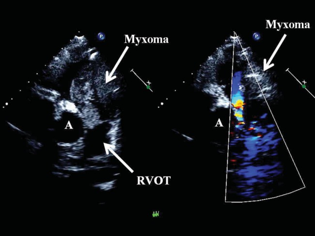 Figure 2: