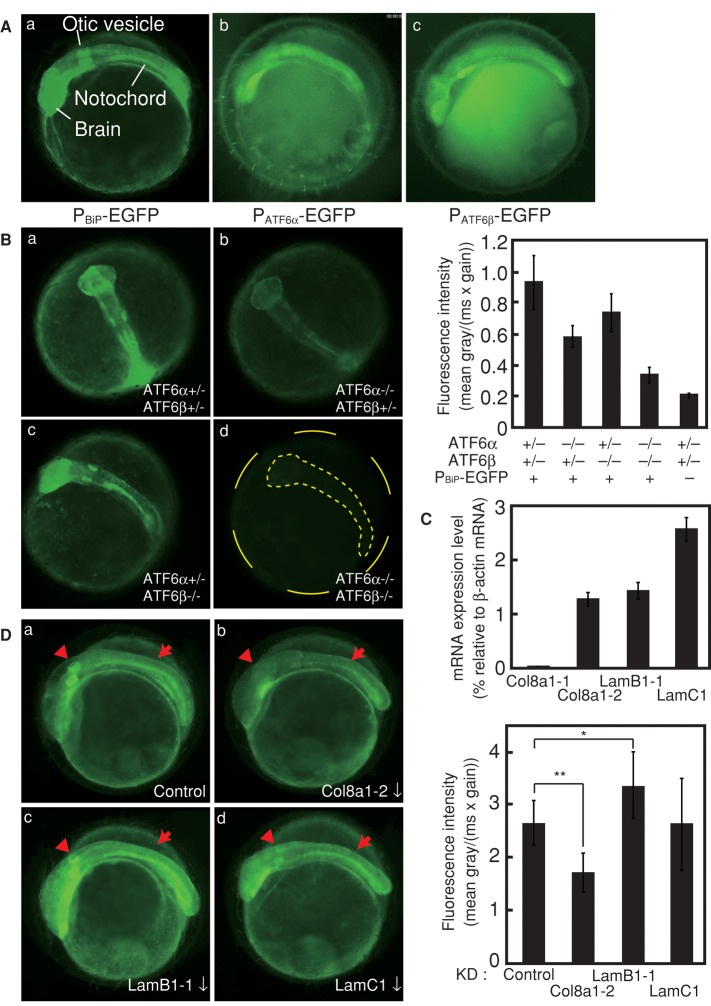 FIGURE 3: