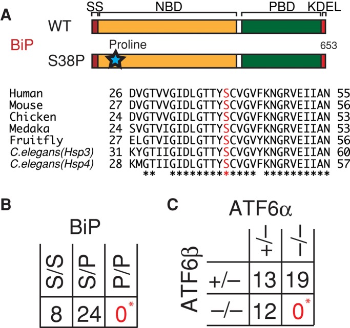 FIGURE 2: