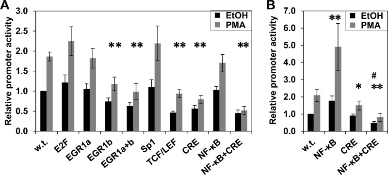 FIGURE 10.