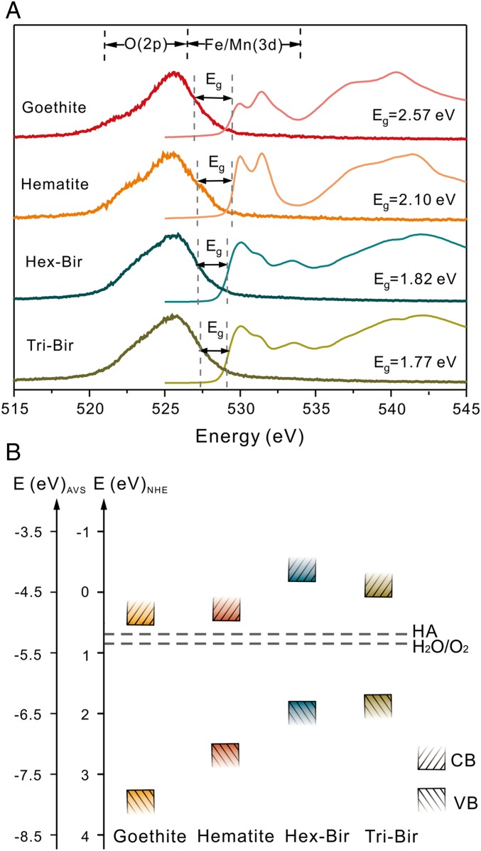 Fig. 3.