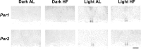 Figure 9.