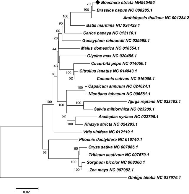 Figure 1.