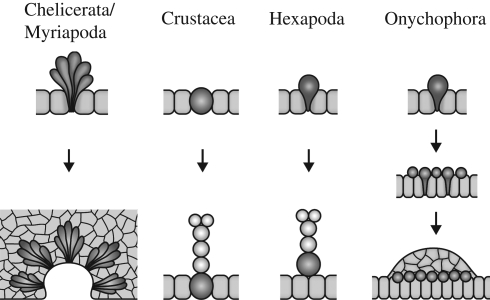 Figure 4.