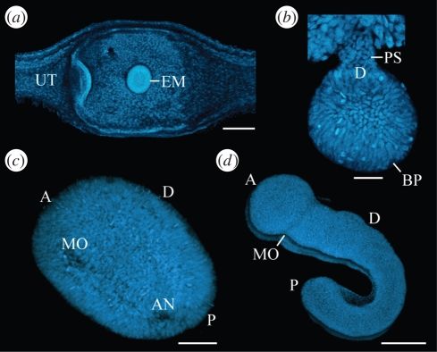 Figure 3.