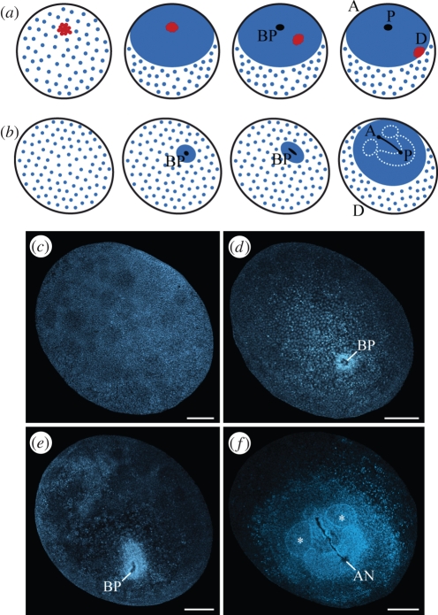 Figure 2.