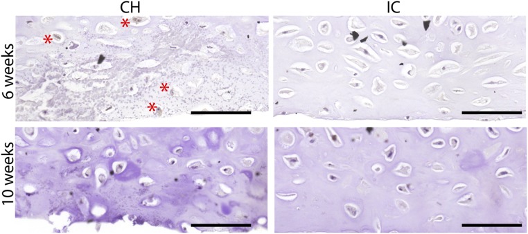 Fig. S1.