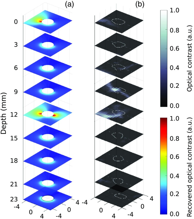 Fig. 6