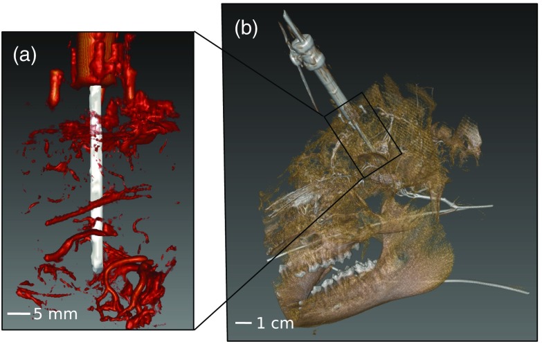 Fig. 4