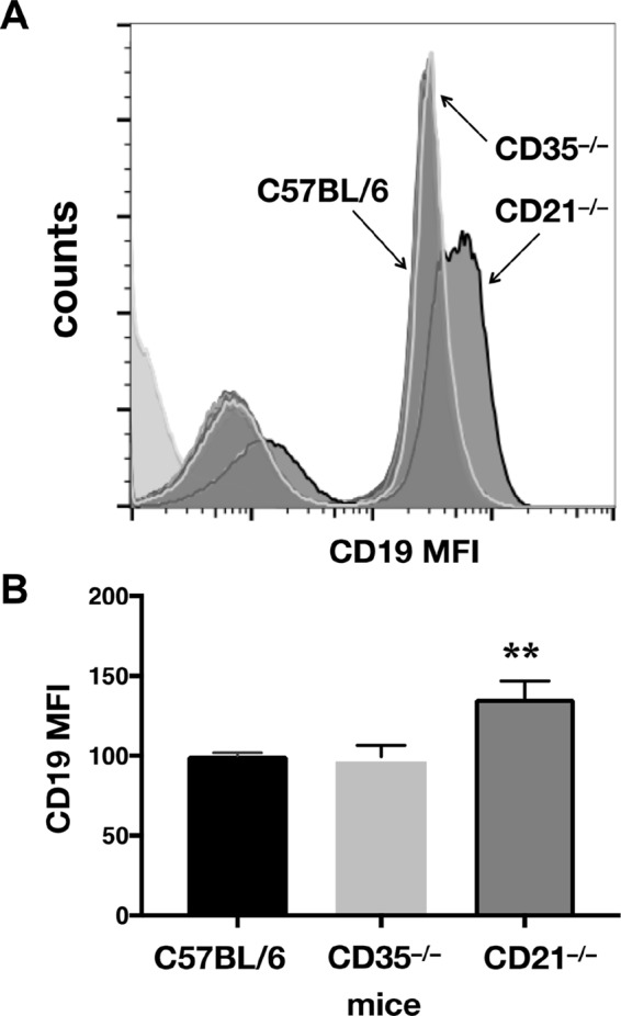 FIG 7 