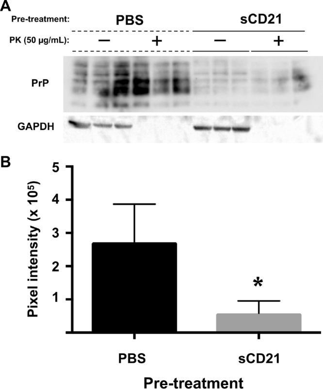 FIG 4 