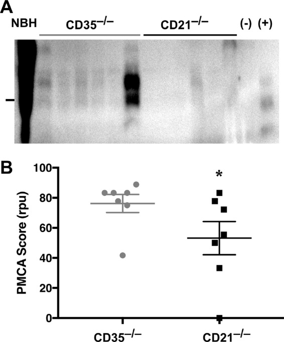 FIG 5 