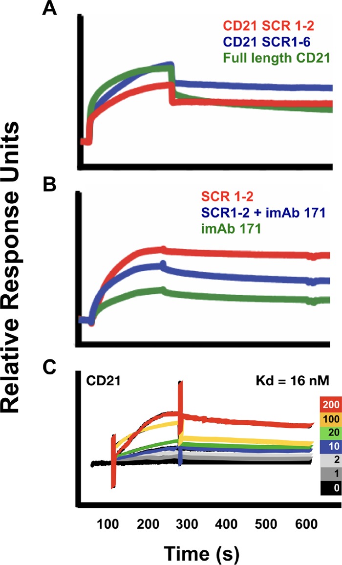 FIG 2 