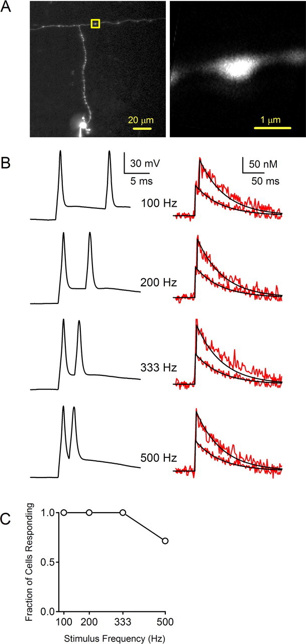 Figure 7.