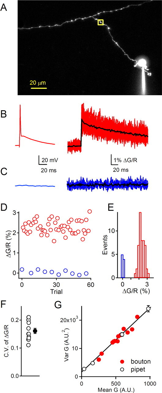 Figure 5.