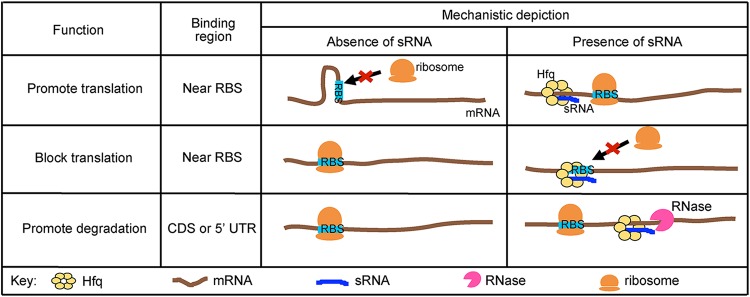 FIG 2